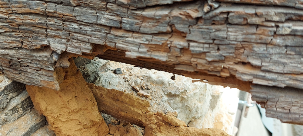 Fagerendás födém károsodása egy százhúsz éves társasházban