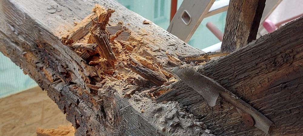 Fagerendás födém károsodása egy százhúsz éves társasházban