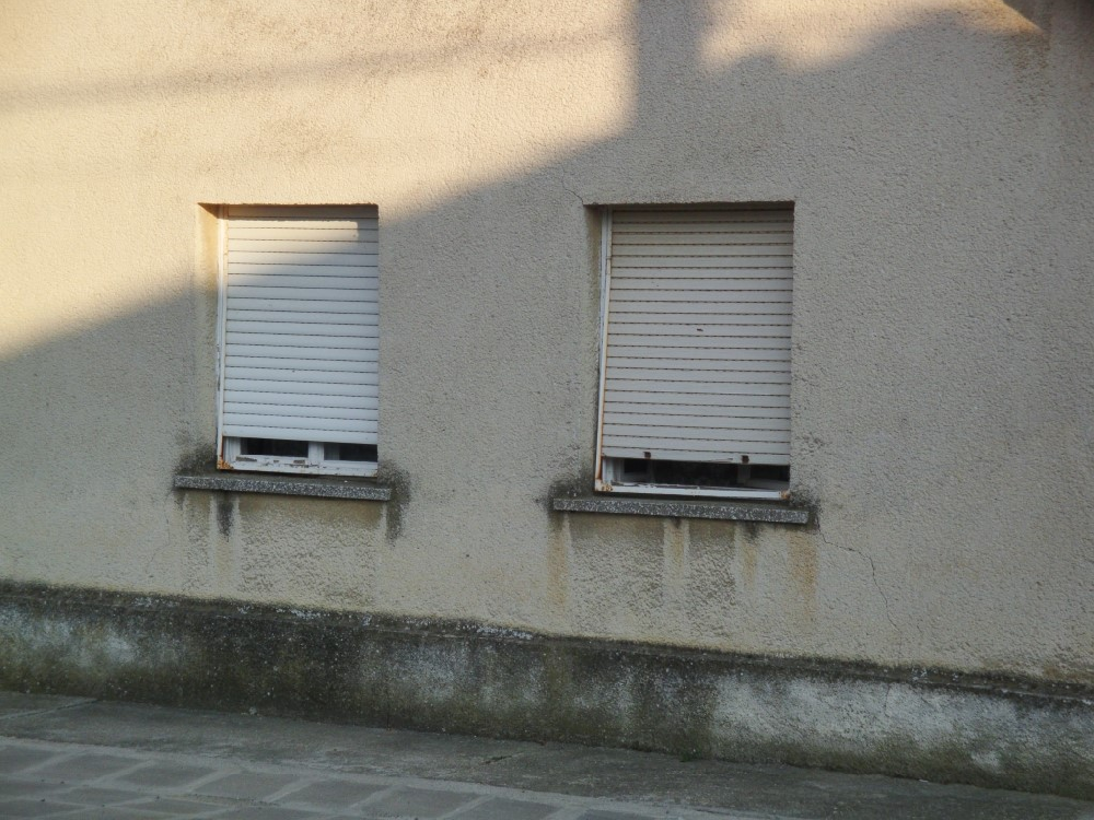 Vakolt homlokzatok mikroorganizmusok elleni védelme