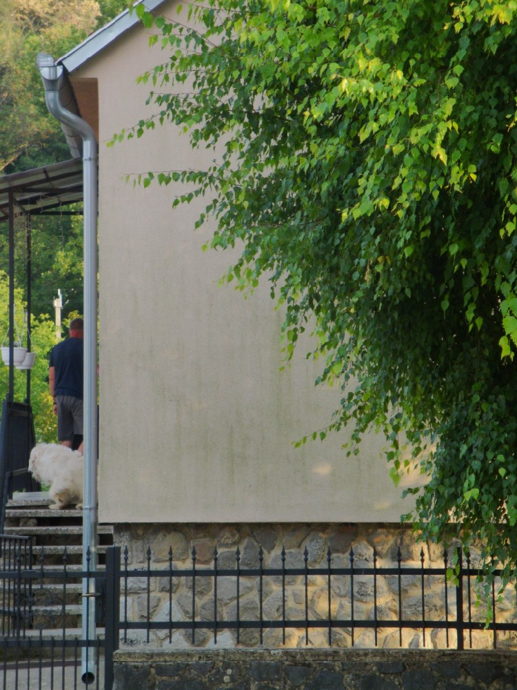 Vakolt homlokzatok mikroorganizmusok elleni védelme