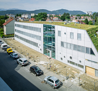 Gondolatok a zöldtetőről Gondolatok a zöldtetőről