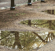 Városi esővíz-gazdálkodás zöldfelületi technológiákkal Városi esővíz-gazdálkodás zöldfelületi technológiákkal