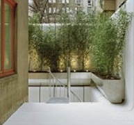 Napfényes kertecske a pinceszinten Napfényes kertecske a pinceszinten