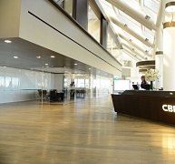 Így nőhet a termelékenység a munkakörnyezet javításával – bemutatjuk a WELL minősítési rendszert Így nőhet a termelékenység a munkakörnyezet javításával – bemutatjuk a WELL minősítési rendszert