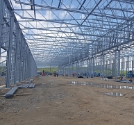 Frisomat a legek világában Frisomat a legek világában