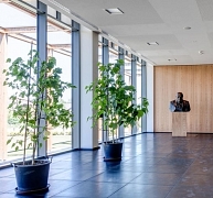 Így hozzuk ki a hangokból és csöndből a legtöbbet Így hozzuk ki a hangokból és csöndből a legtöbbet