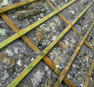 Az alábecsült veszélyforrás Az alábecsült veszélyforrás