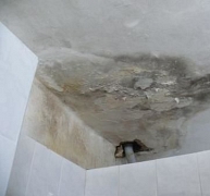 Algás és penészes beltéri falak kezelése Algás és penészes beltéri falak kezelése