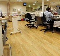 Szakmai bemutató és kerti mulatság Szakmai bemutató és kerti mulatság