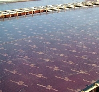 Zsaluhéjak rétegelt lemezből, megerősített bevonattal Zsaluhéjak rétegelt lemezből, megerősített bevonattal