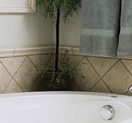 A pórusokba szívódva öli a penészgombát és az algát A pórusokba szívódva öli a penészgombát és az algát