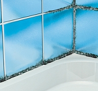 Tartós védelem penészedés ellen Tartós védelem penészedés ellen